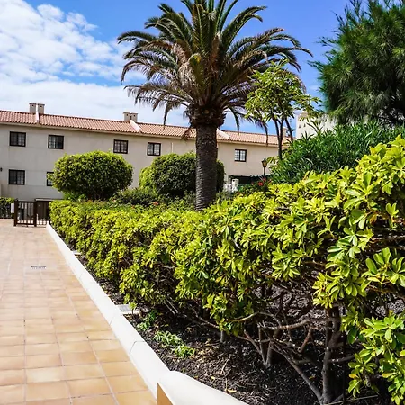 Bright House With Working Space El Médano